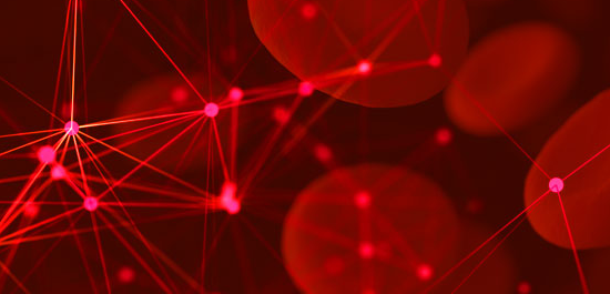 BC Thrombosis Network Website